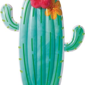Intex 58793EU Cactus Float